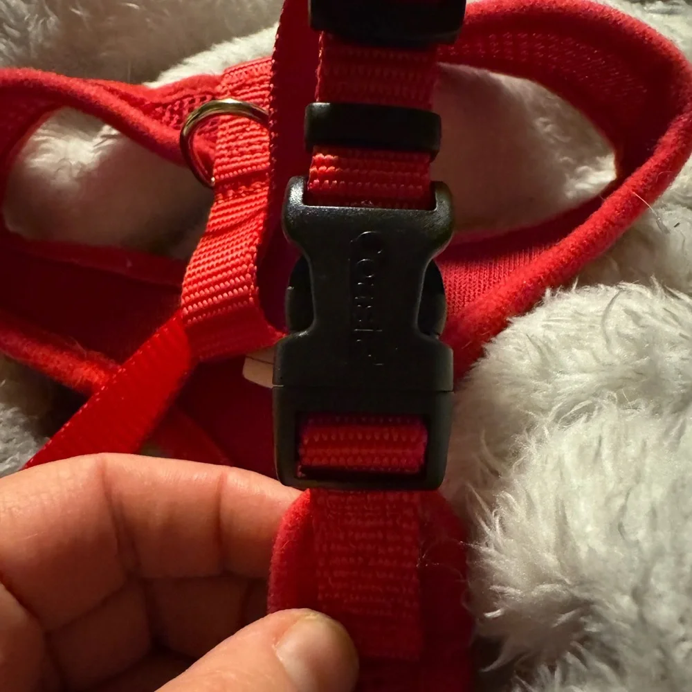 Red Mesh Dog Harness
